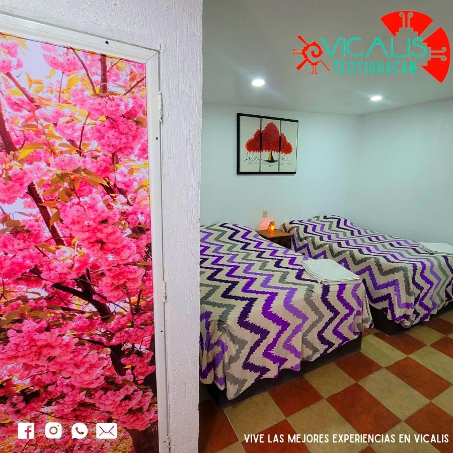 Hotel Vicalis 圣胡安特奥蒂瓦坎 外观 照片